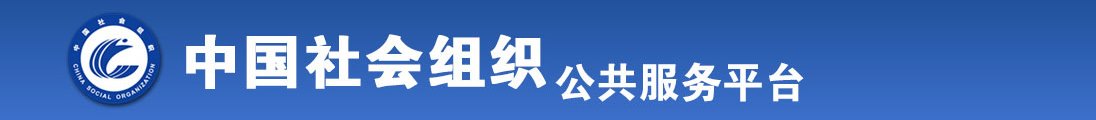 肏欧美女人全国社会组织信息查询